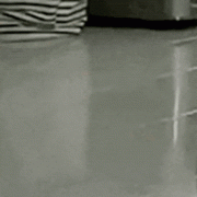 大夫版ChatGPT估值120亿美元