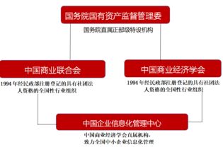 中国企业信息化管理中心正式成立